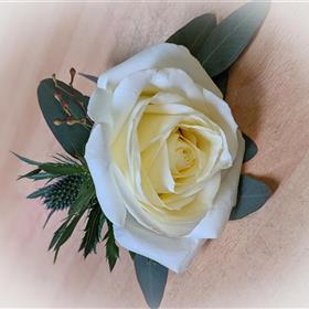 fwthumbButtonhole White Rose Erygium Eucalyptus.jpg